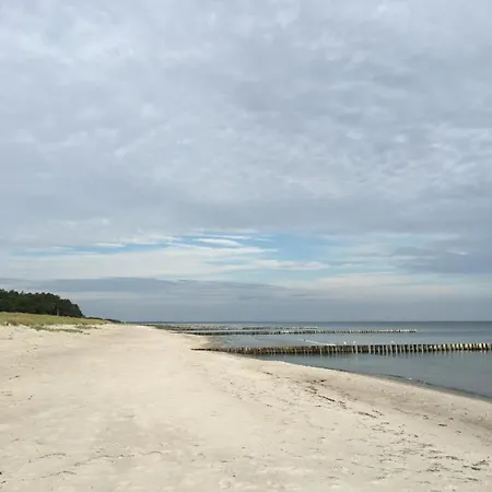 Fewo Sonnenblume Achtern Diek Zingst Exterior photo