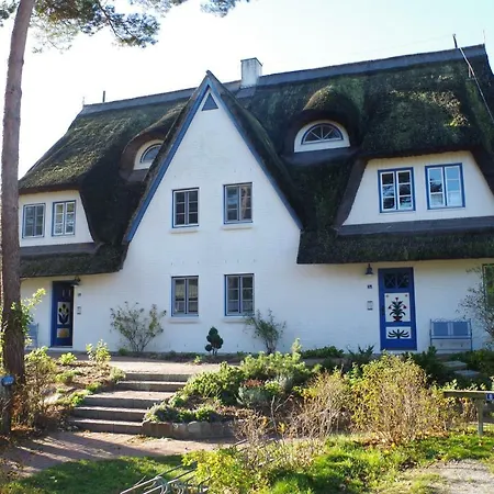 Fewo Sonnenblume Achtern Diek Zingst Exterior photo