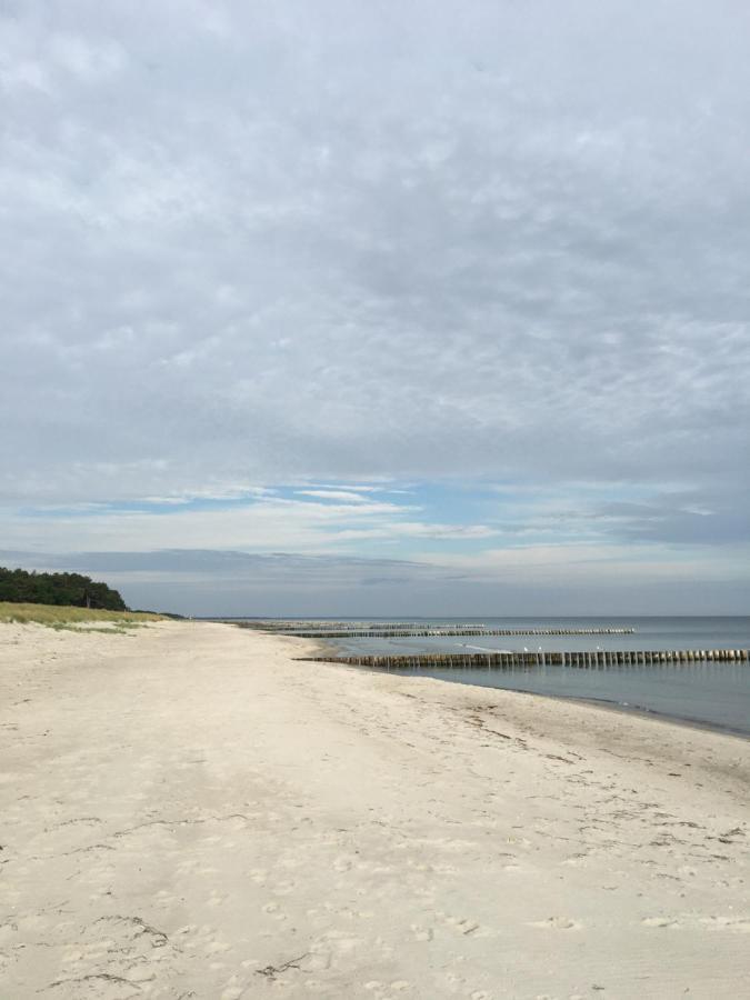 Apartment Sonnenblume Achtern Diek Zingst
